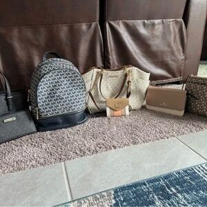 Designer bag collection or individual